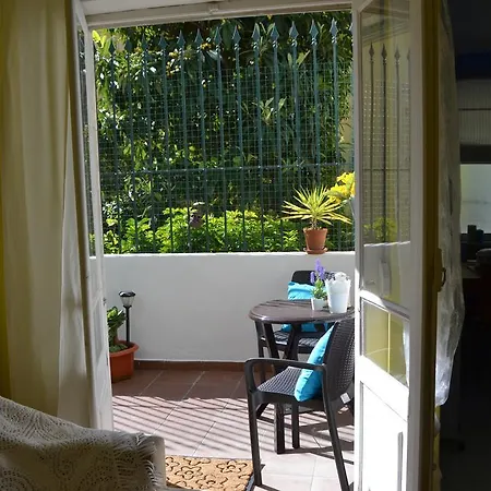 Estrela & Tejo, Terrace